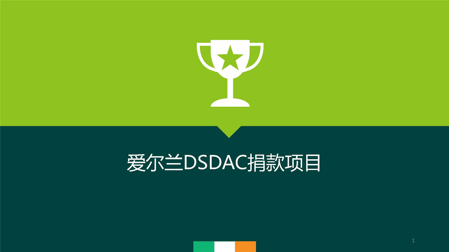 1、愛爾蘭DSDAC團(tuán)捐項目介紹_頁面_01.jpg